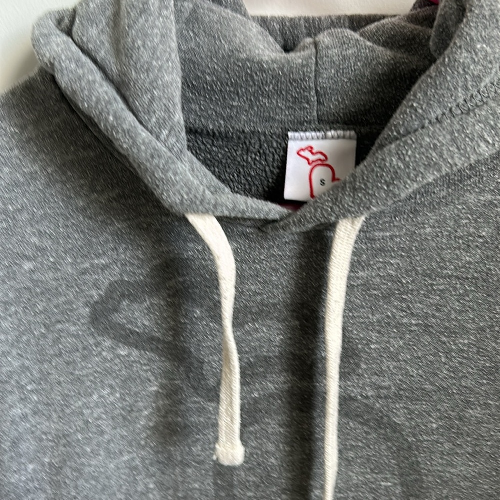 The Mitten State Michigan hoodie - Picture 2 of 5